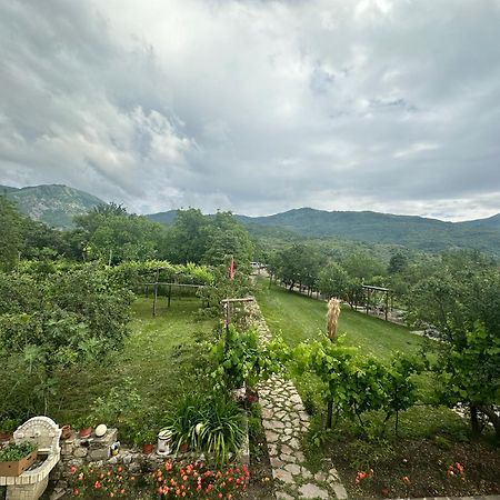 Vila Disha Tirana Exterior photo