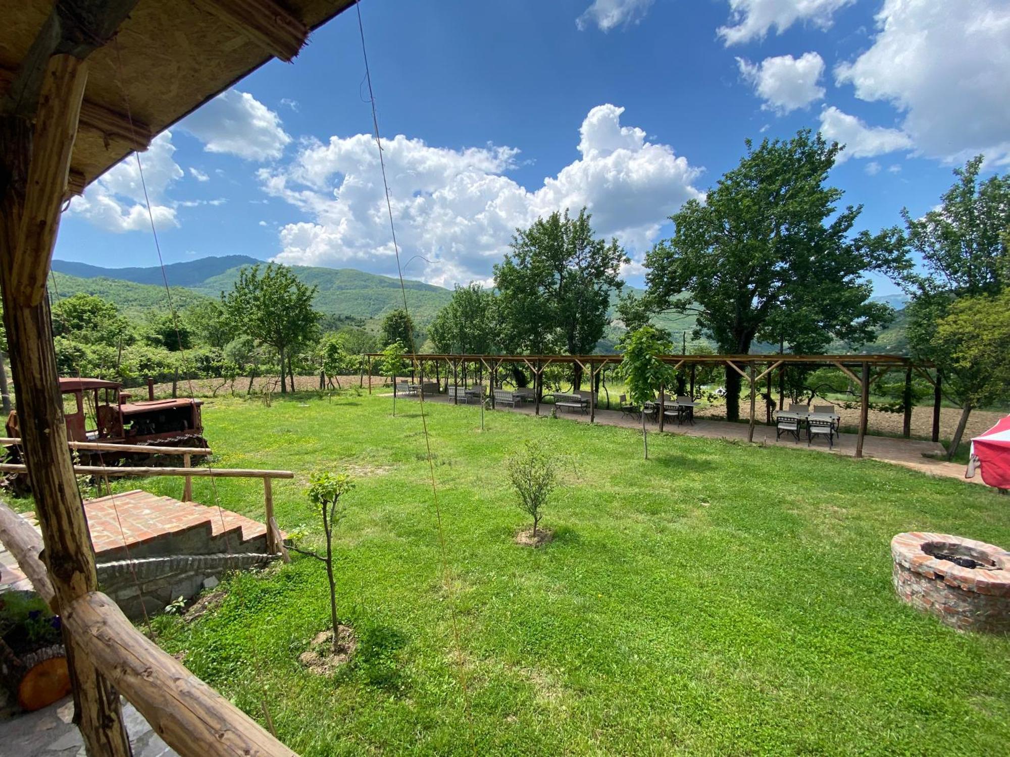 Vila Disha Tirana Exterior photo